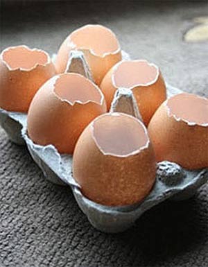 ��ô�ü������������� �ֹ������ü�����