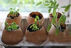 ��ô�ü������������� �ֹ������ü�����