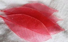 ��������Ҷ����ǩ ����Ҷ����ǩ����������