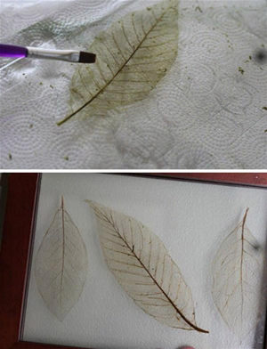 怎样制作叶脉书签 自制叶脉书签的制作方法