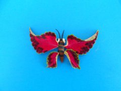 ��Ƥ���ֹ�֮�������˵ĺ���