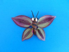 ��Ƥ���ֹ�����֮�����崿�ɰ��ĺ���