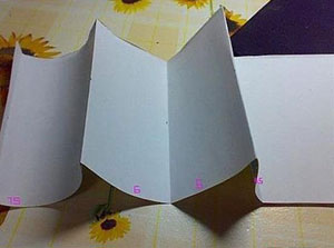 ��������ֹ��������� ����÷�ֽ��������