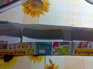 ��������ֹ��������� ����÷�ֽ��������