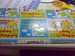 ��������ֹ��������� ����÷�ֽ��������