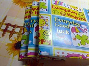 ��������ֹ��������� ����÷�ֽ��������