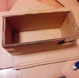 ţ�����������ɹ������̳�ͼ�� ţ��������ɹ�