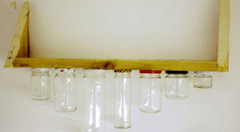 ����ƿ�ޱ��Ϊ���ֹ�����ʵ�������