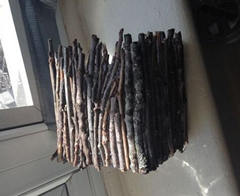 ��������֦���Ϊ������Ҿ�ľ������̳�ȫ��