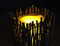 ��������֦���Ϊ������Ҿ�ľ������̳�ȫ��