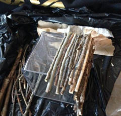 ��������֦���Ϊ������Ҿ�ľ������̳�ȫ��