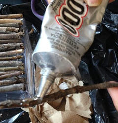 ��������֦���Ϊ������Ҿ�ľ������̳�ȫ��