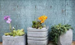 ���������ֹ������������������