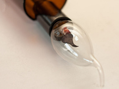 ��������ֹ�����