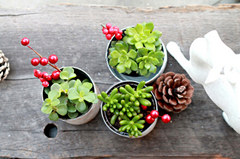 DIYľ�ʸл���