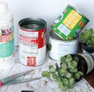 DIYľ�ʸл��� DIYʥ����ֲ��