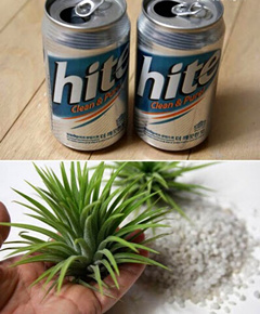 DIY�ֹ������޻���