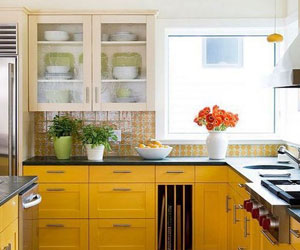 ������ɫ����