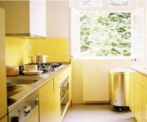 ����ɫ��