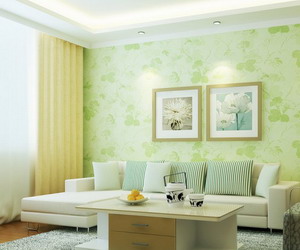 ����װ�����Ч��ͼ