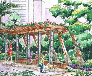 ����Ч��ͼ