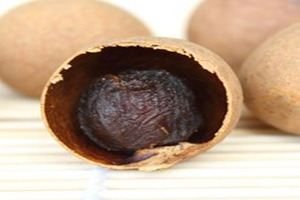 �и����ԳԹ�Բ����