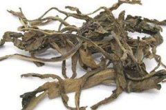 ����Ҷ�Ĺ�Ч������ ����Ҷ�������Ƚⶾ��