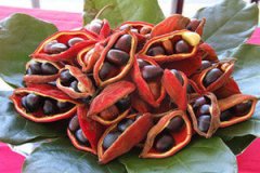 ƻ����ô�� ƻ�ų�����ʲô�ô���