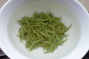 毛尖的功效与作用