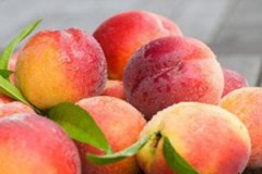 �����и����Գ����� �᲻����ʲôΣ��