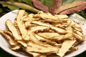 知母的功效与作用