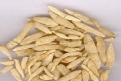 �󶬵Ĺ�Ч�������Լ�Ӫ����ֵ����Щ