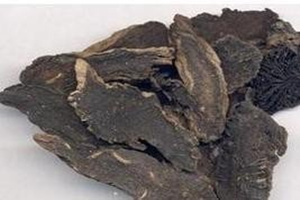 Ԫ�εĹ�Ч������