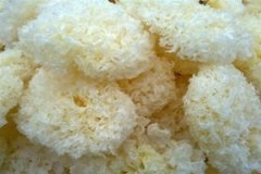 �����ĸ���������Щ ��������������