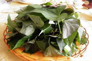 各种蔬菜叶子的营养功效