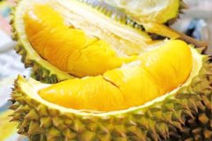 �������ĺô�����Щ ���������ϻ���