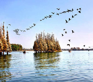 �������羰��