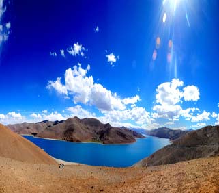 ��ľ����������