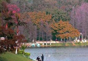 ���ݶ����ȥ������