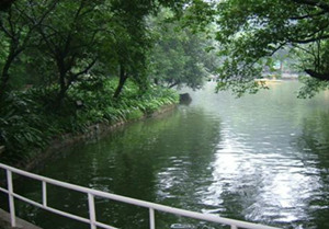 ���ݶ����ȥ������