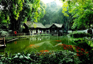 �����ȥ�������κ�