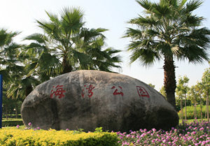 ����ڷż�ȥ����