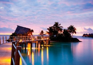 �����������Ƽ�