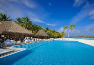 �����������Ƽ�