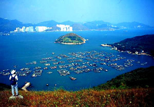 ��۾����ȫ����