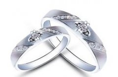 2015���½�ָ������ȫ ���½�ָ��������Щ����