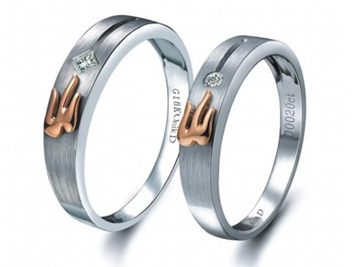 2015���½�ָ������ȫ