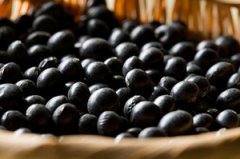 �����ѷ���ʳ�� ��ʲô��ͷ����