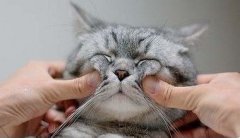 ʲô�Ǹ���֢ ����֢�ı���