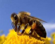 ���۷������������ ���۷�������ô��